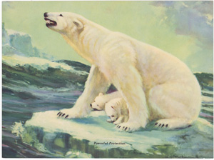 Vintage wildlife print circa 1900-1930s